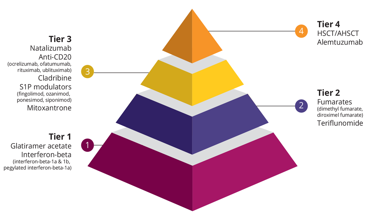 Pyramid format updated 180625 SS